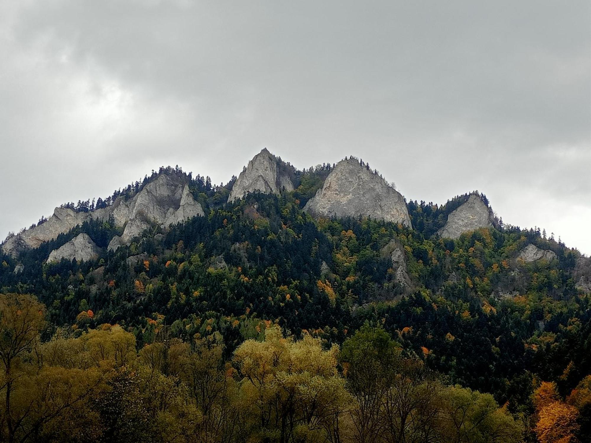 Hortensjowy Zakatek W Pieninach Sromowce Wyzne Esterno foto